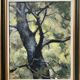 Table "Tree study" Russian school HSP signed N. Spoov +frame