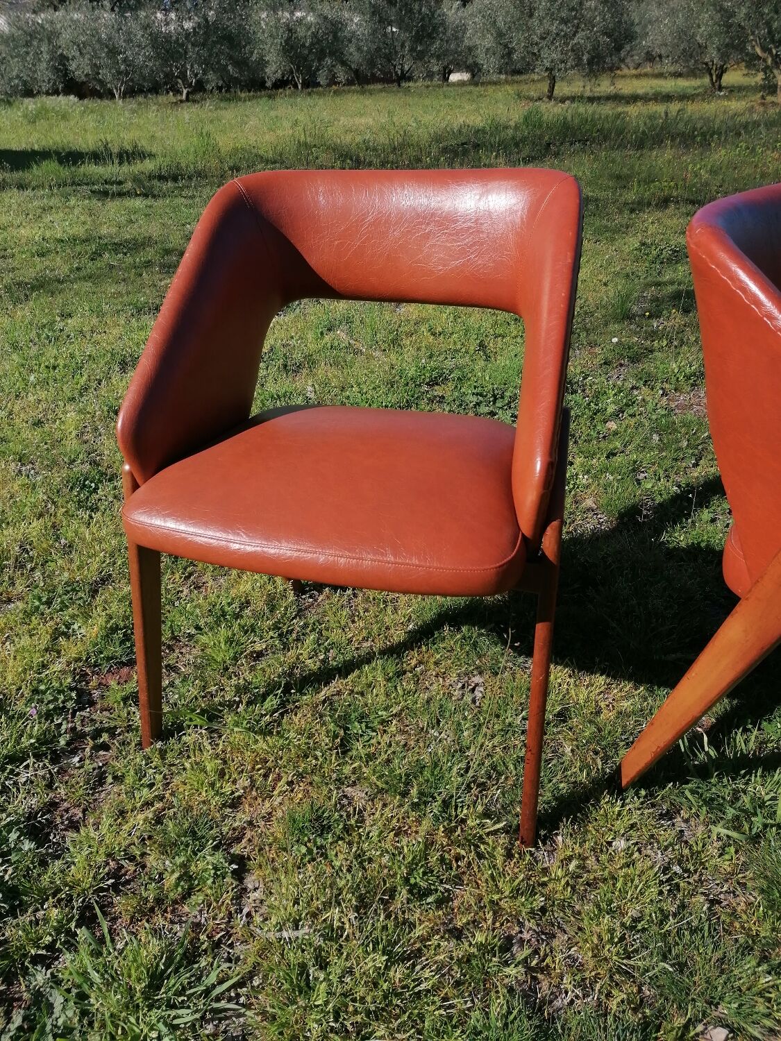 Pair of shell armchairs n°634 by Michel Ducaroy for Roset SNA