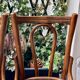 Paire de chaises de bistrot Bauman - Art nouveau