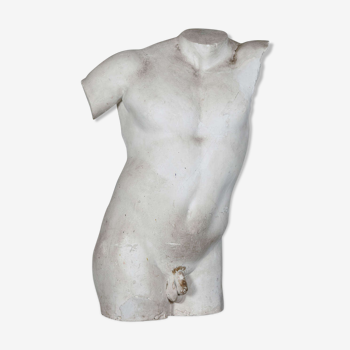 Torse en plâtre Gladiatore Borghese