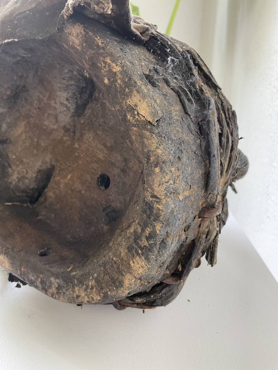 Bété Nyabwa mask Ivory Coast