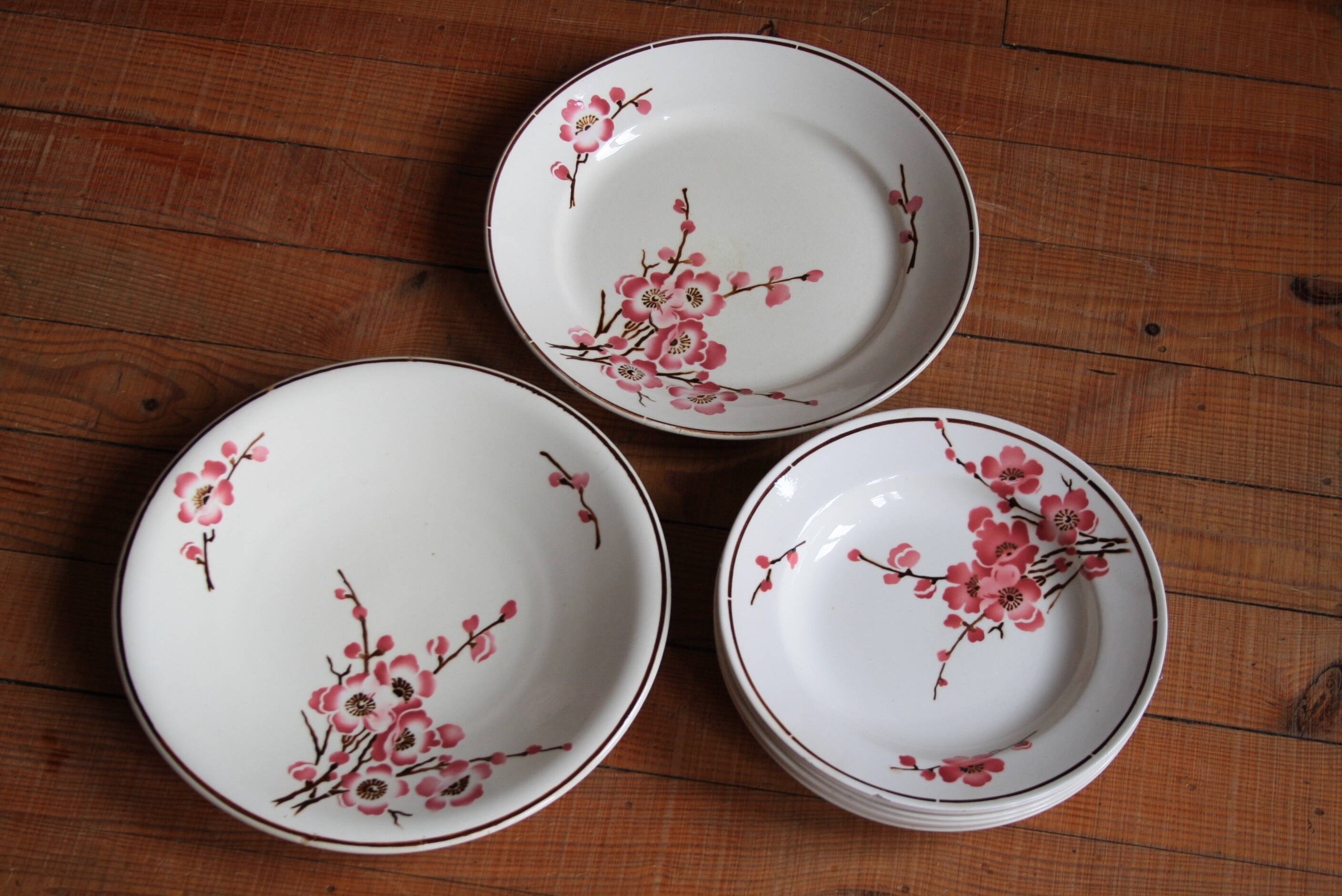 set of 2 dishes/large plates St Amand Terre de Fer "cherry"