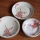 set of 2 dishes/large plates St Amand Terre de Fer "cherry"