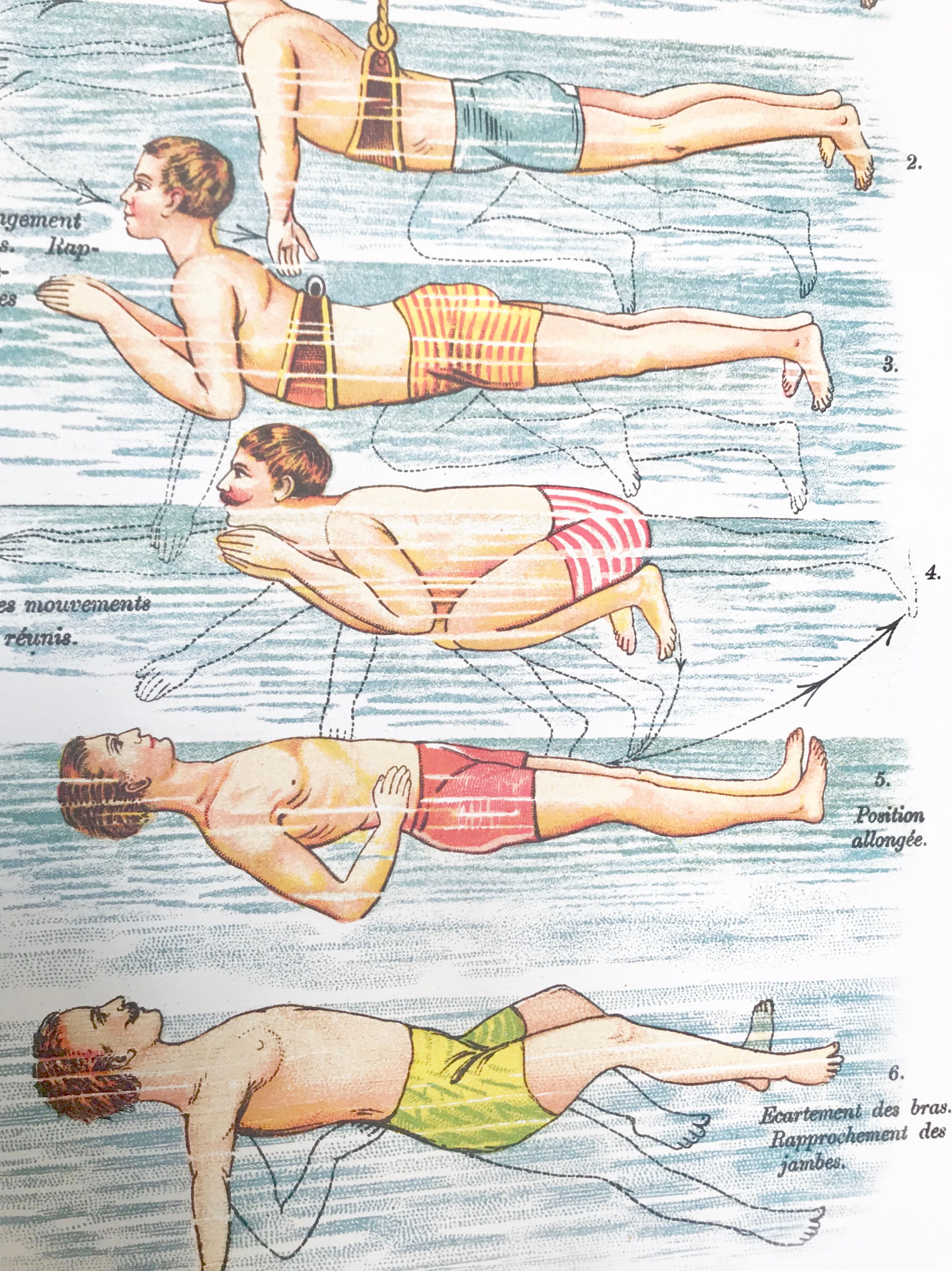 Poster in colors decomposing the movements of swimming