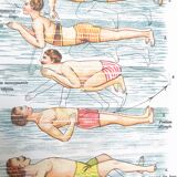 Poster in colors decomposing the movements of swimming