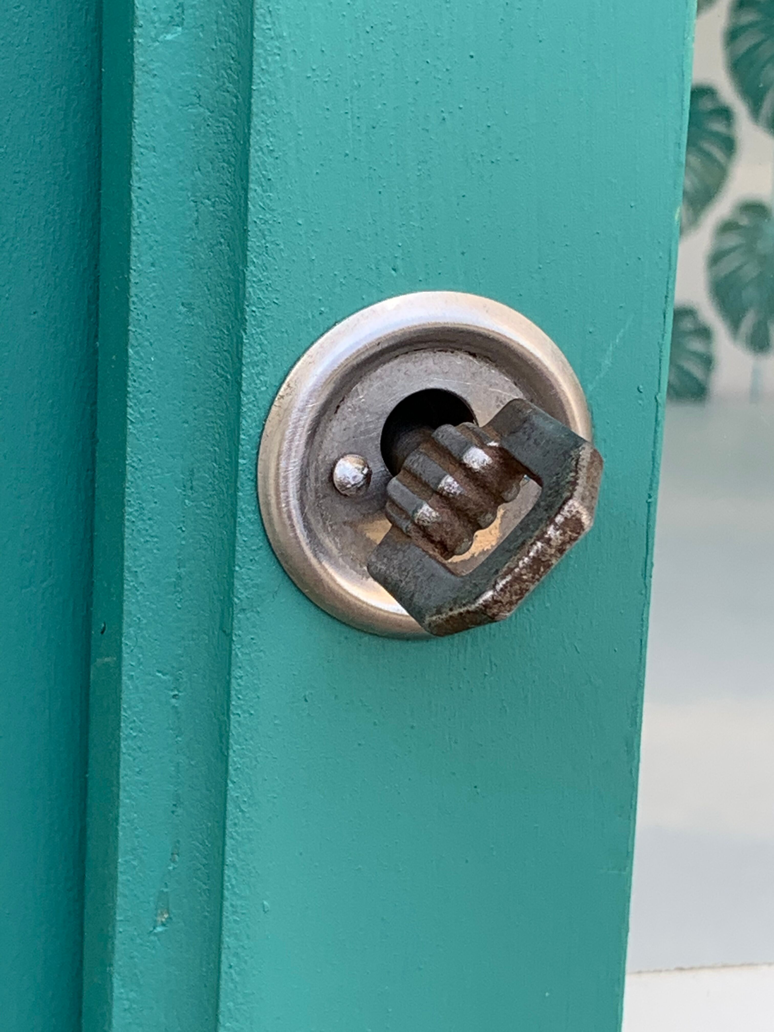 Parisian glazed wardrobe 1930