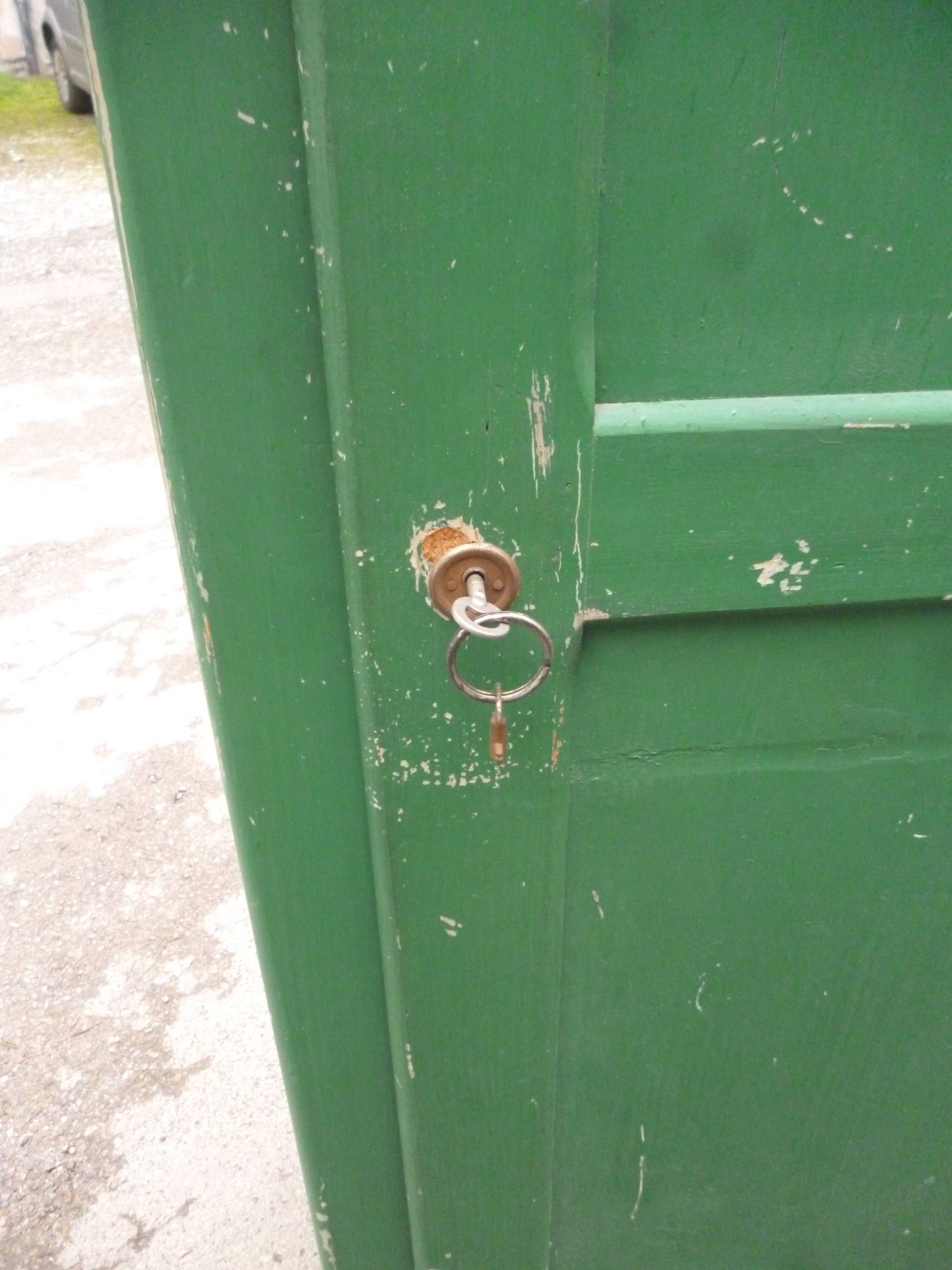 Cabinet 1 door in old fir green patina