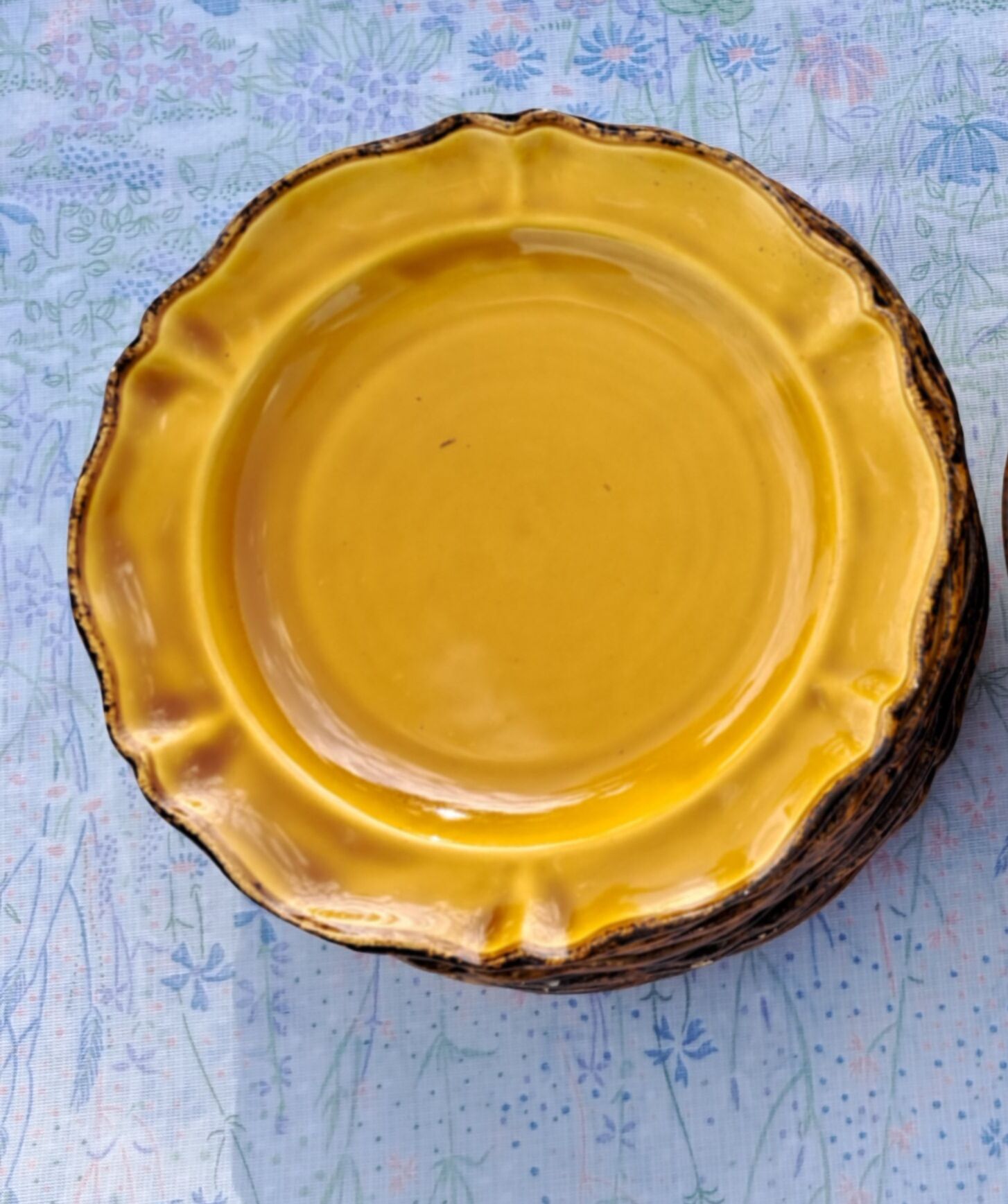 11 assiettes à dessert