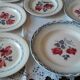 6 flat plates and a round dish digoin sarreguemines Marinette Cannes