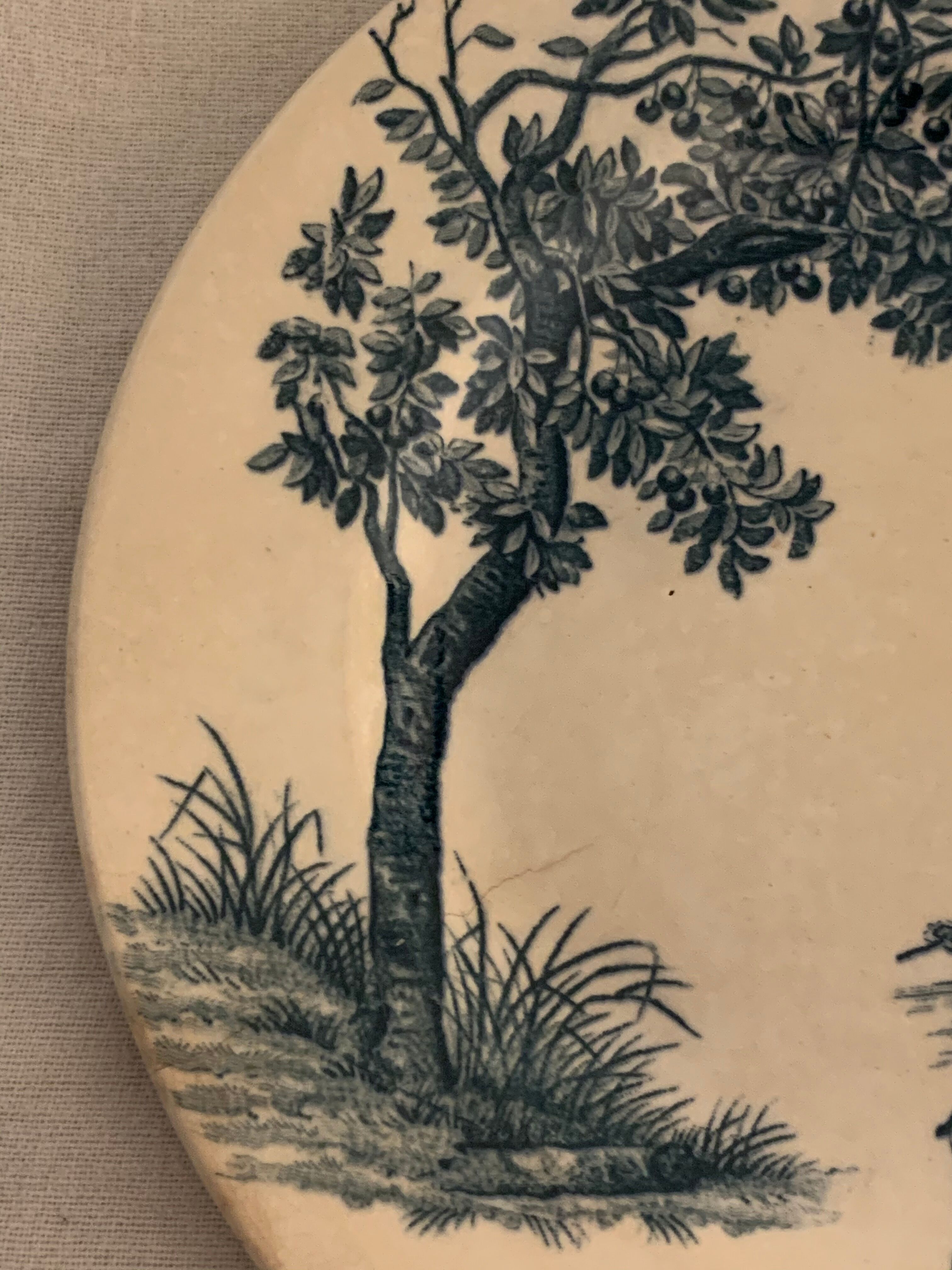 9 dessert plates old chickens, geese and pheasants blue field service Terre de Fer