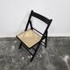 Folding Chair with Cane