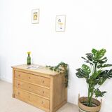 Dresser campaign - 565