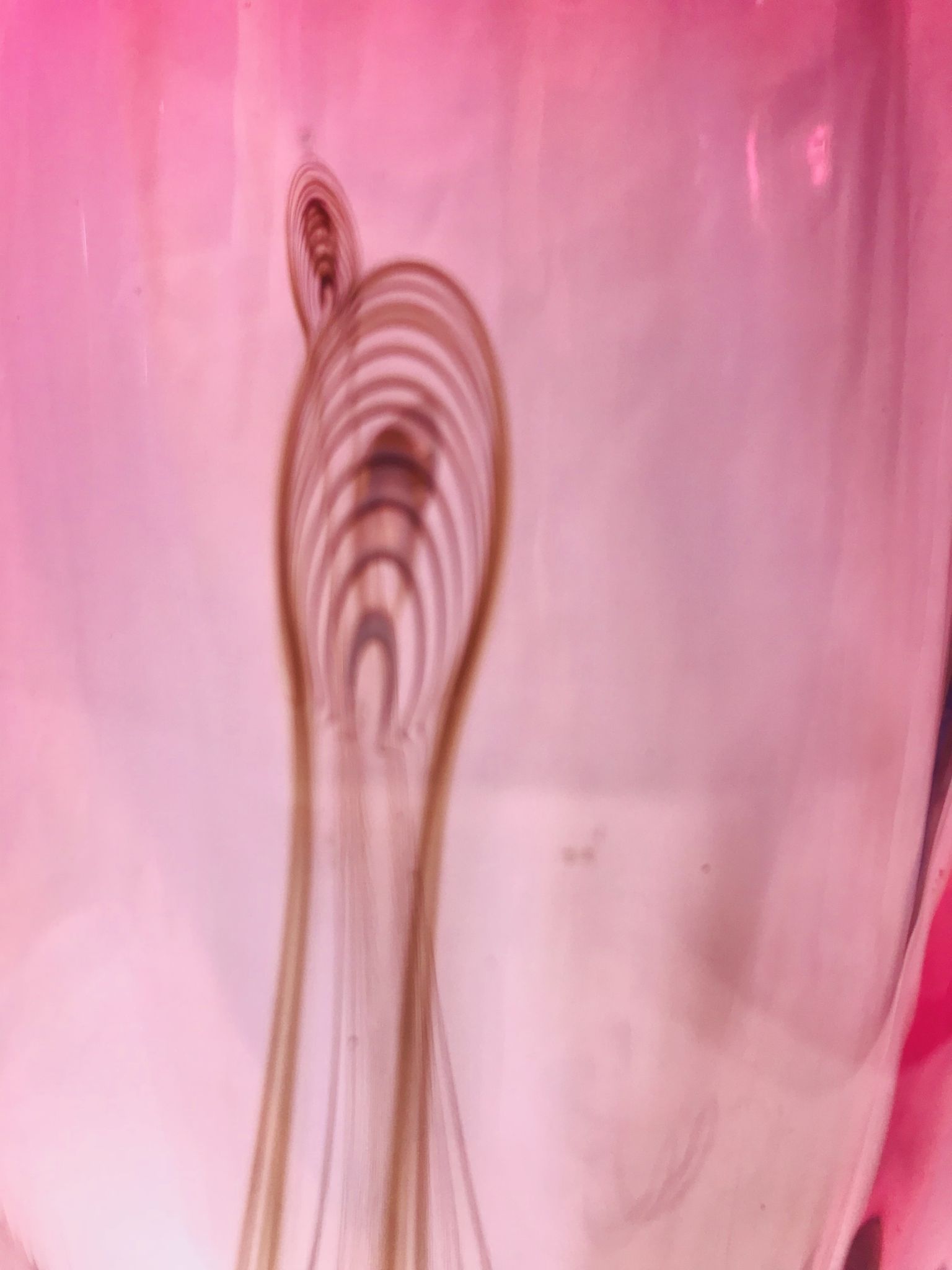 Crystal vase, design Adam Jabłoński Art Glass