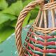 Glass and rattan carafe