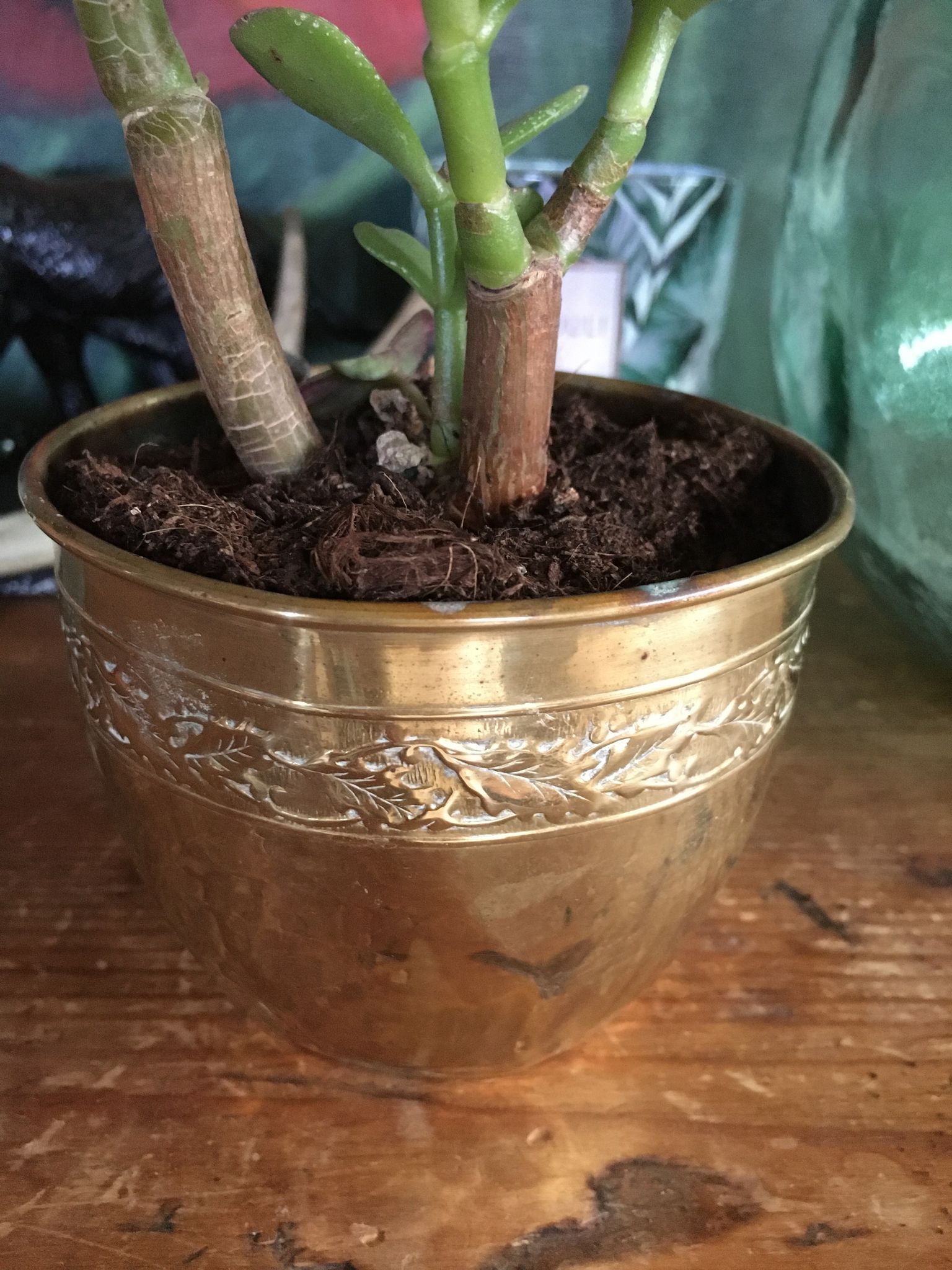 Cache pot en cuivre