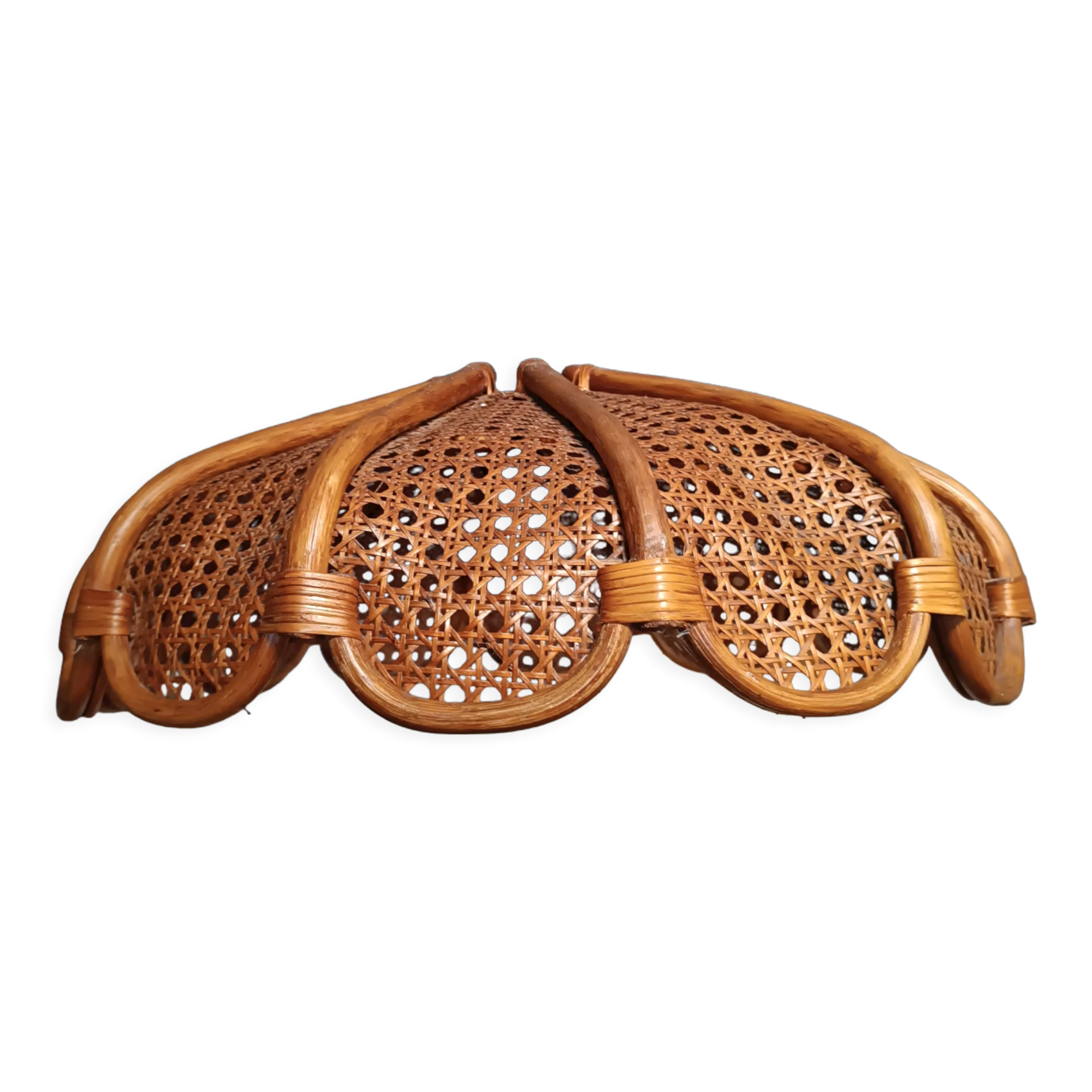 Canning suspension 1970