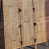 Bamboo screen