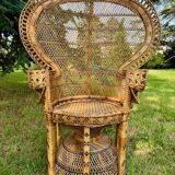 Fauteuil Emmanuelle modèle Paon 1970 vintage