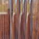 Lit Art Déco, bois d'acacia, années 30 / 40, pied moustache