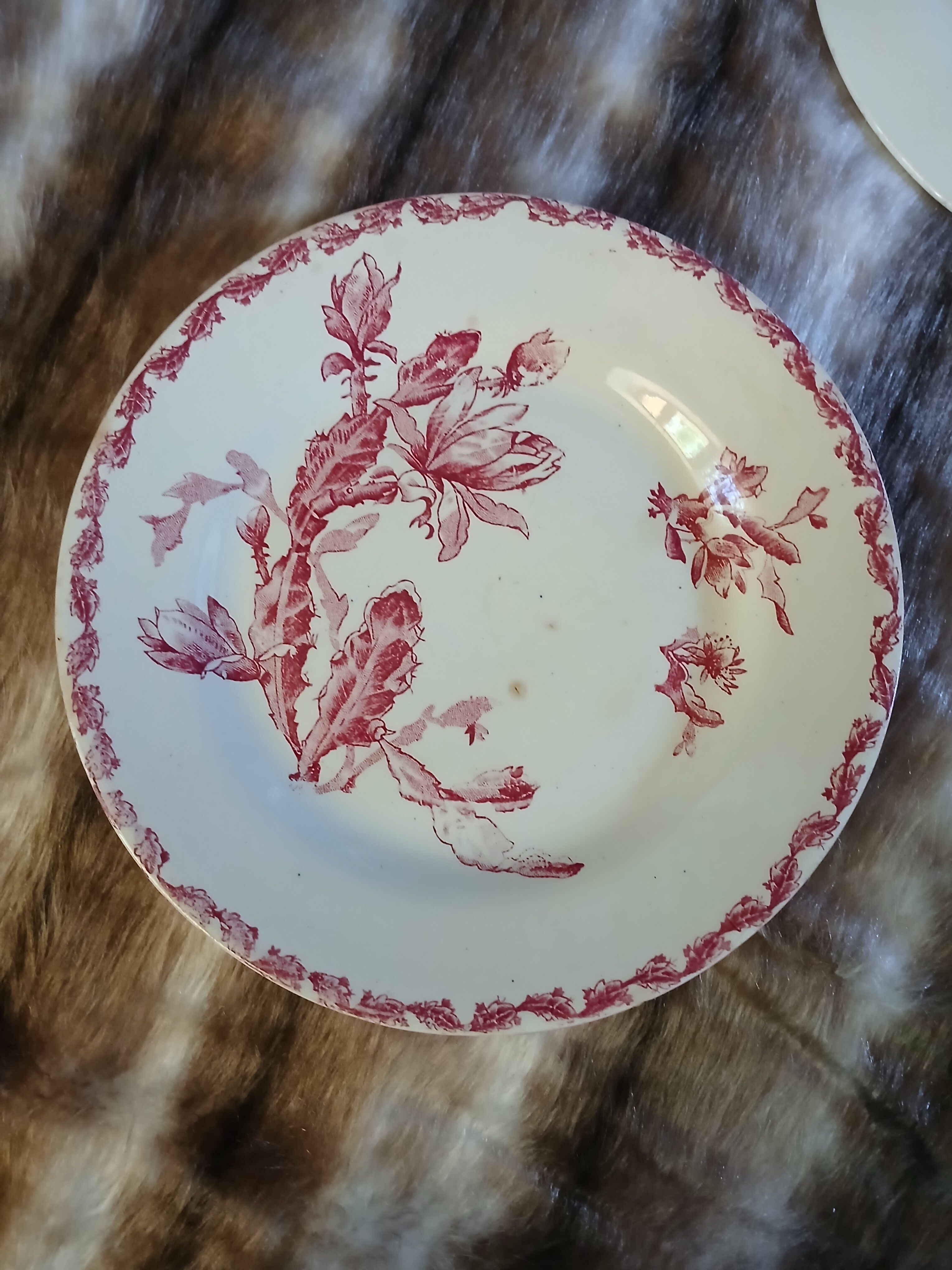 6 antique flat plates in ironstone