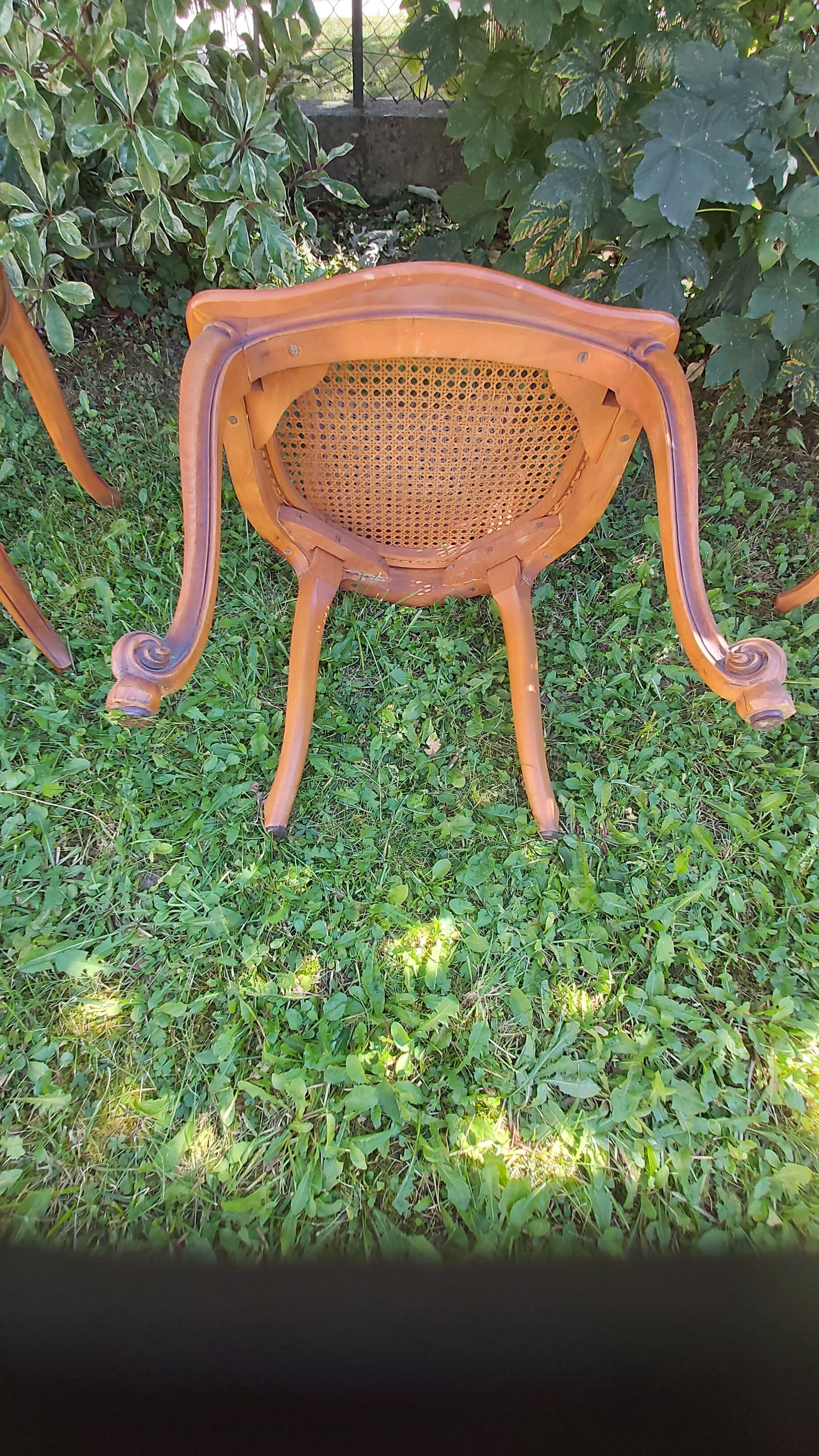 Set of three regency cane chairs