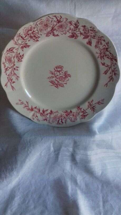 Lot of 8 large plates (Longchamp, Model Eglantines)