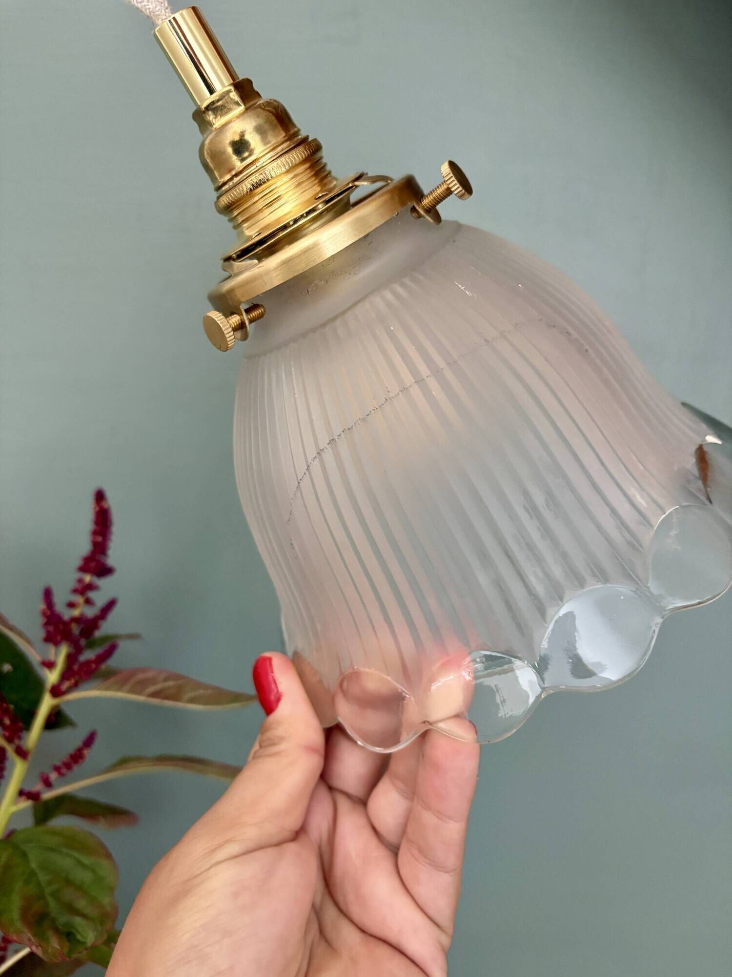 Vintage tulip suspension in frosted glass (TFB1)