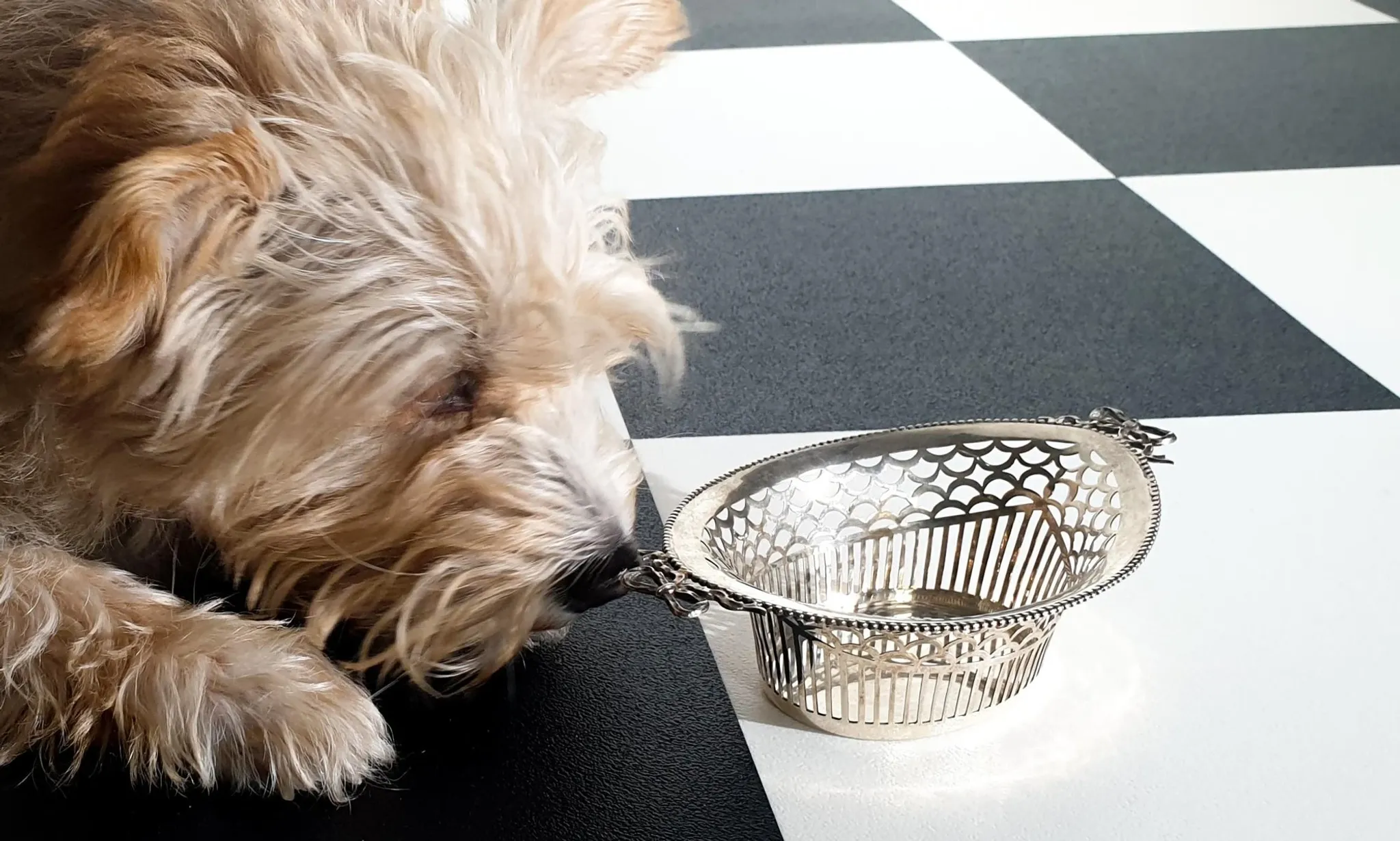 Silver bonbon basket with bows – Van Kempen, Begeer & Vos, 1934