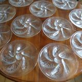 Set of 12 vintage 70s Arcoroc oyster plates