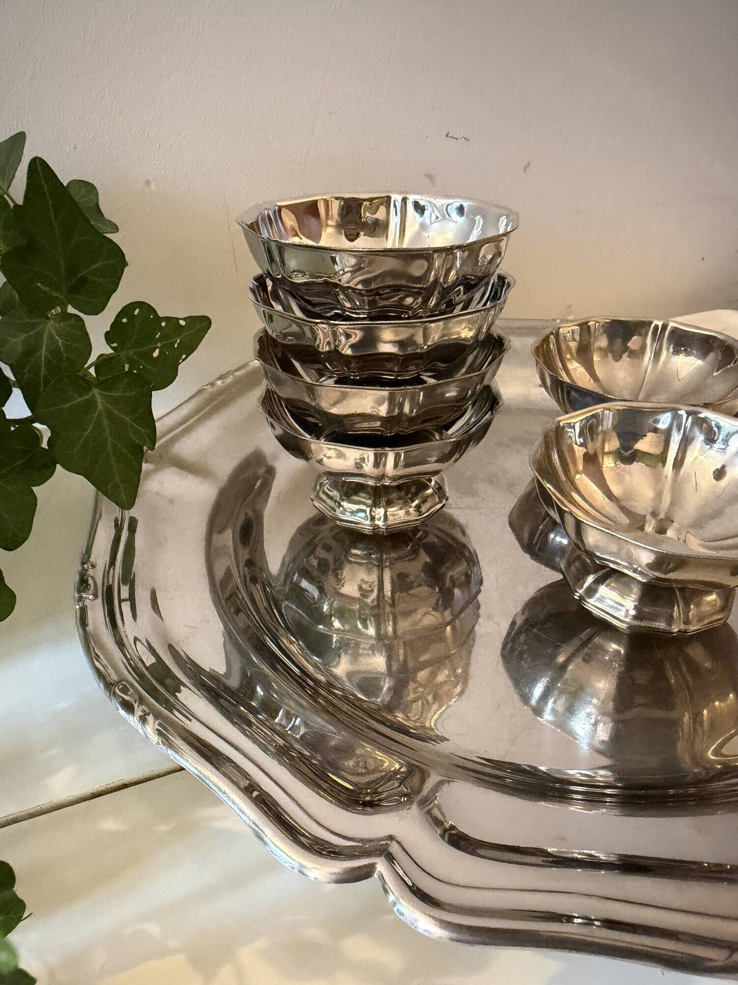 Set van 6 chrome coupes met schaal