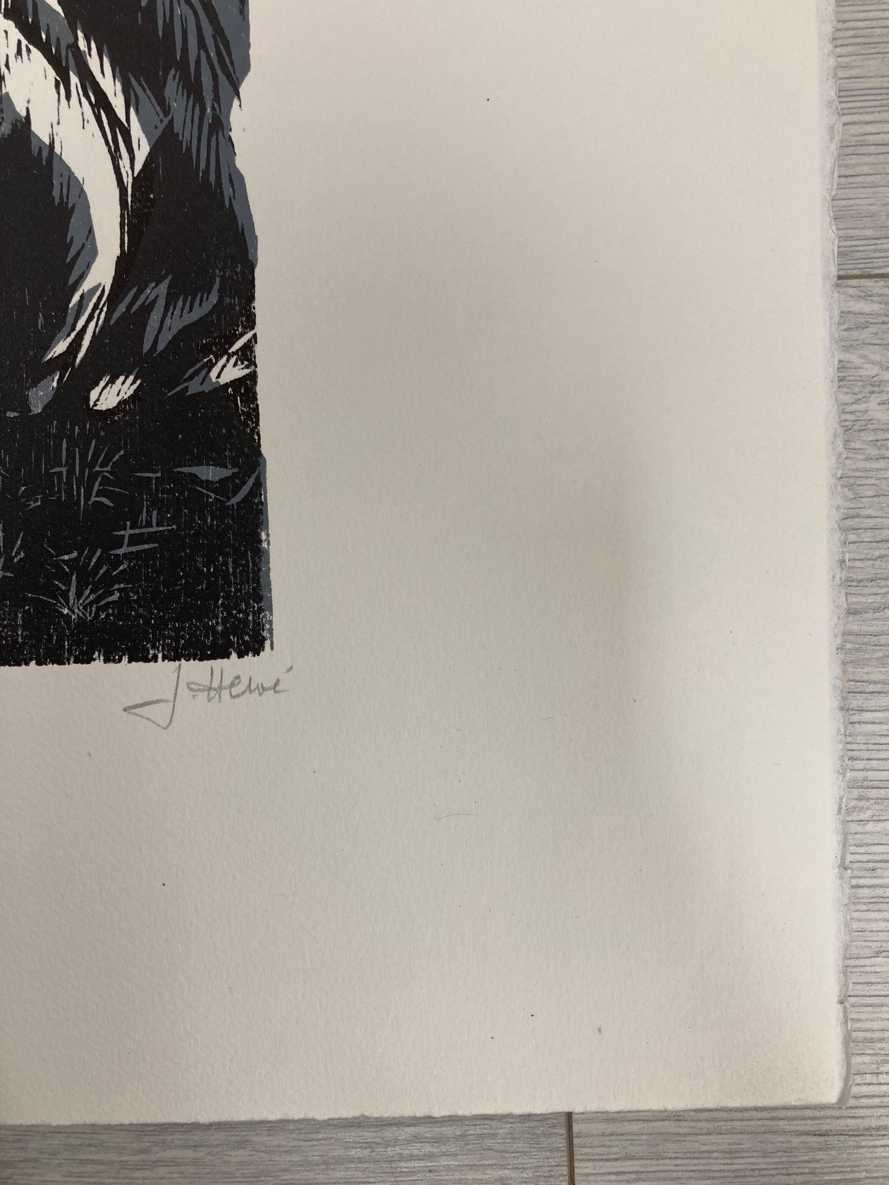 Illustration Le Bois des Cocotiers