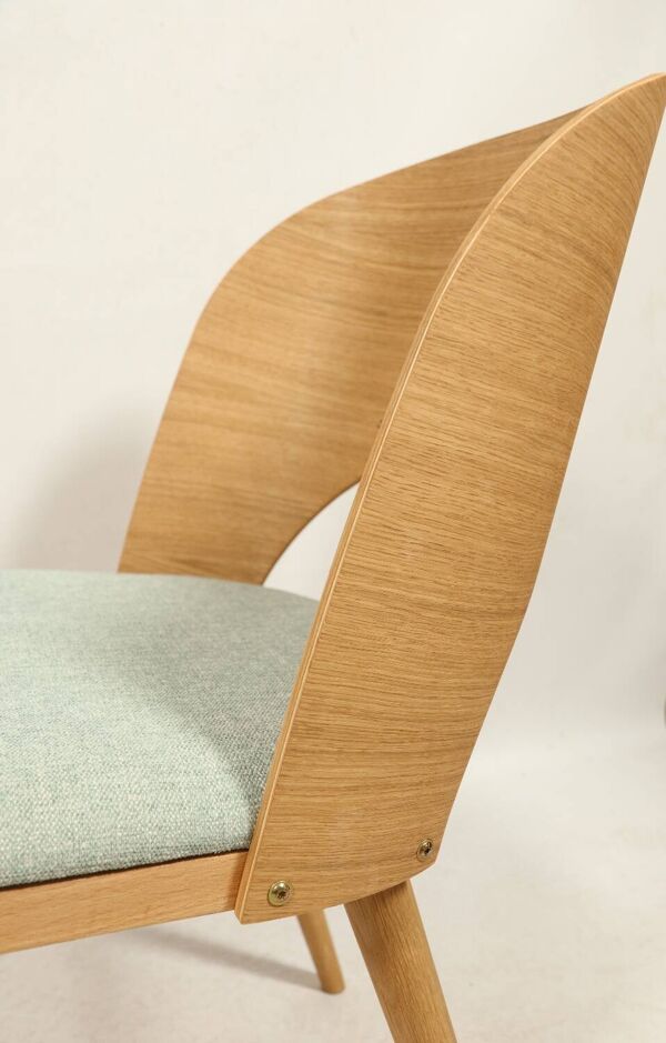 Chaises de salle à manger en chêne naturel, lot de 2/4/6/8, pour salle à manger, restaurants (HoReCa), bureau