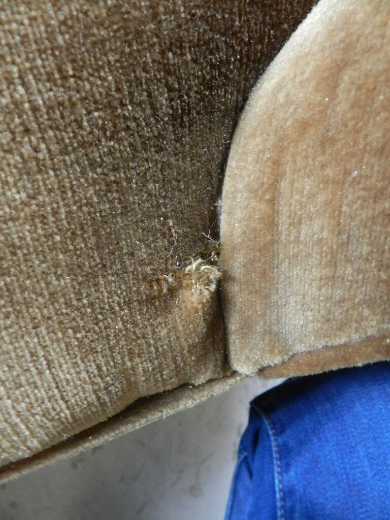 Louis Philippe style meridian