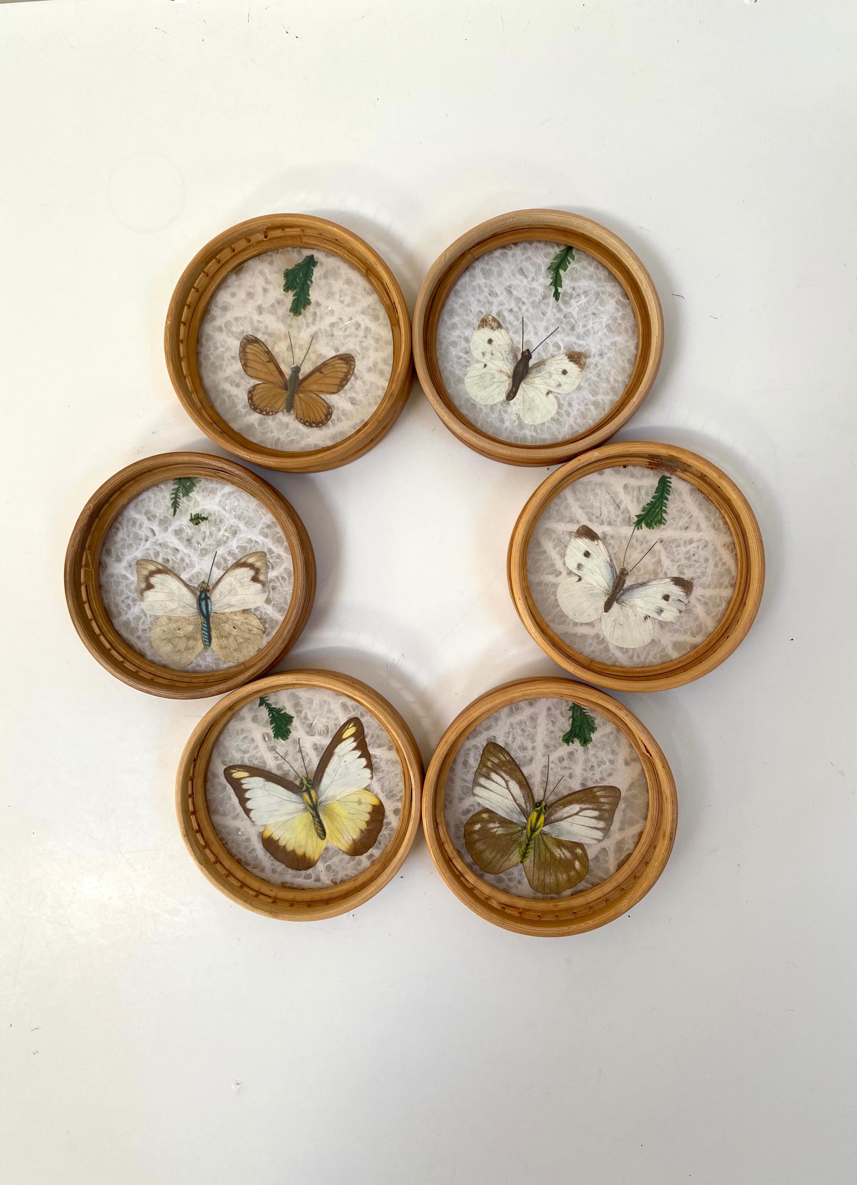 Vintage set of 6 butterfly coasters