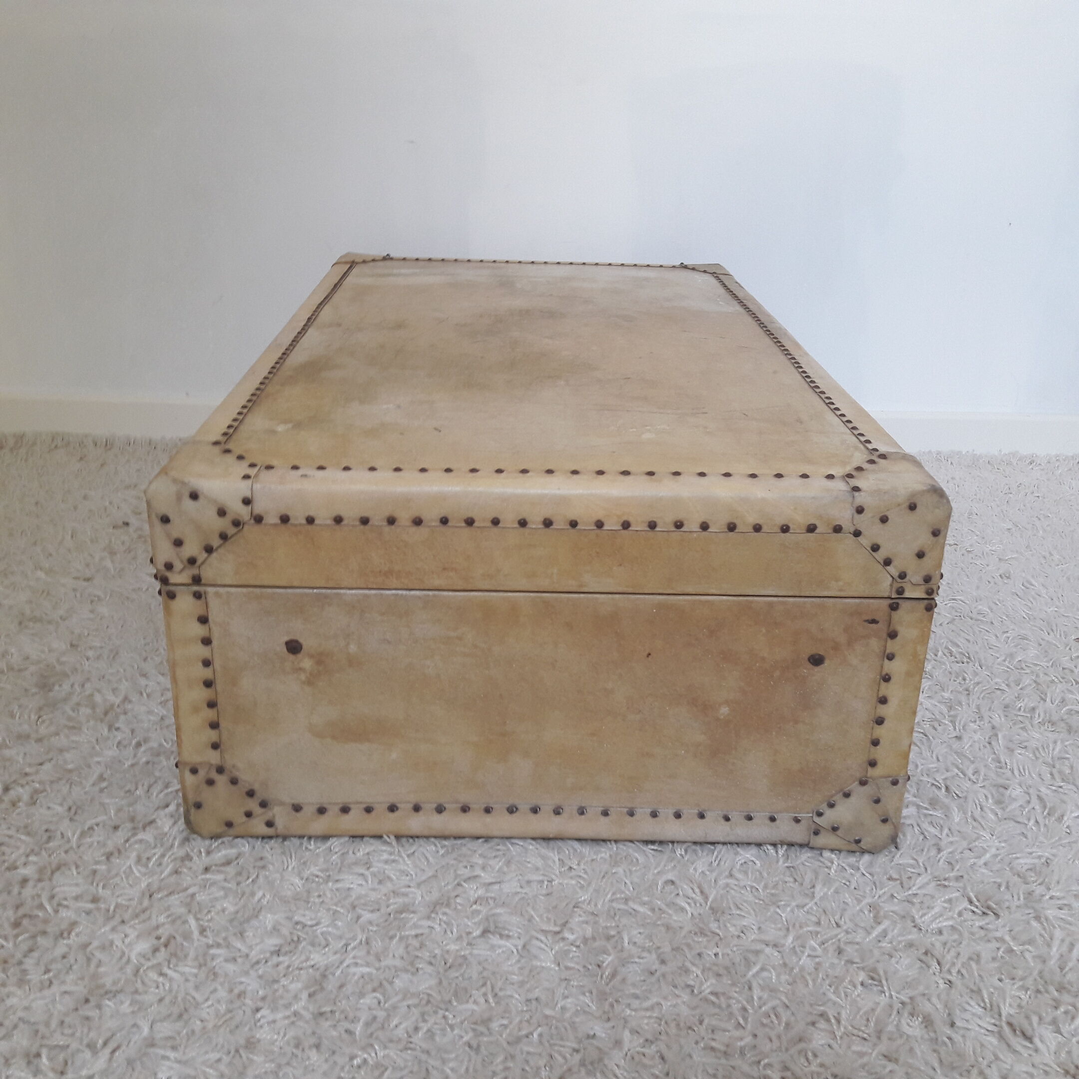 Vintage "parchment" case