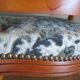 Louis XV blue style armchair