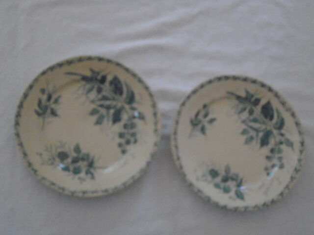 2 Plates faience old Bondonviller decoration MURE wild fruit iron earth diameter 22 cm
