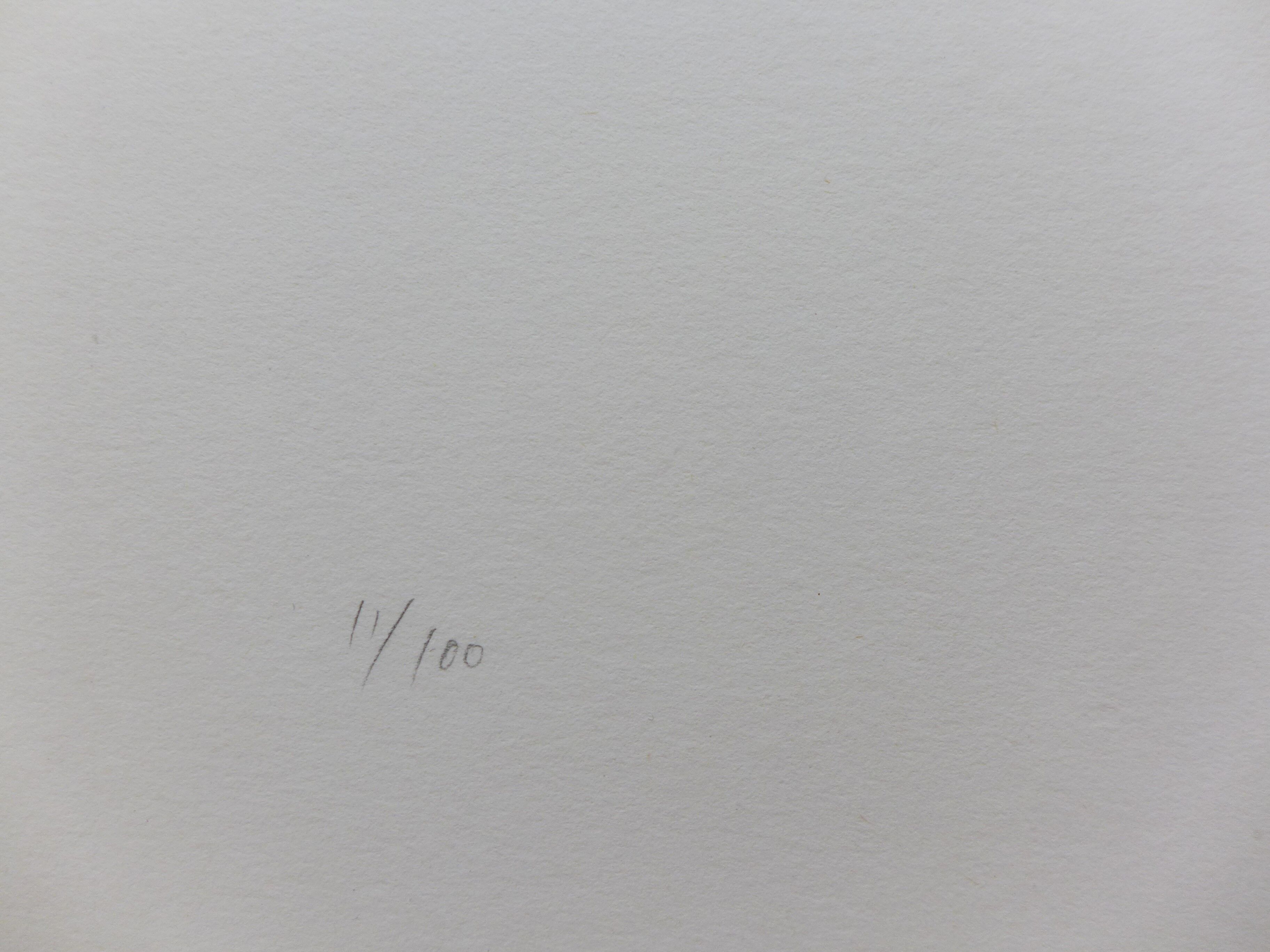 Original silkscreen print signed Eusebio Sempere, Se14, 1974