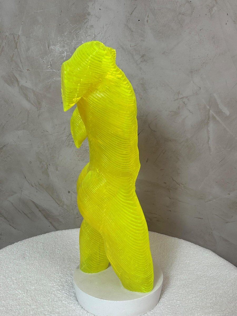 Acrylic male bust by Olivier Duhamel