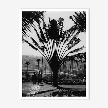 Jardin botanique de Bombay, vers 1970