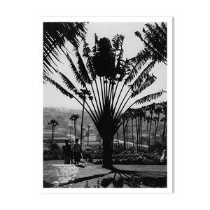 Jardin botanique de Bombay, vers