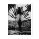 Jardin botanique de Bombay, vers 1970