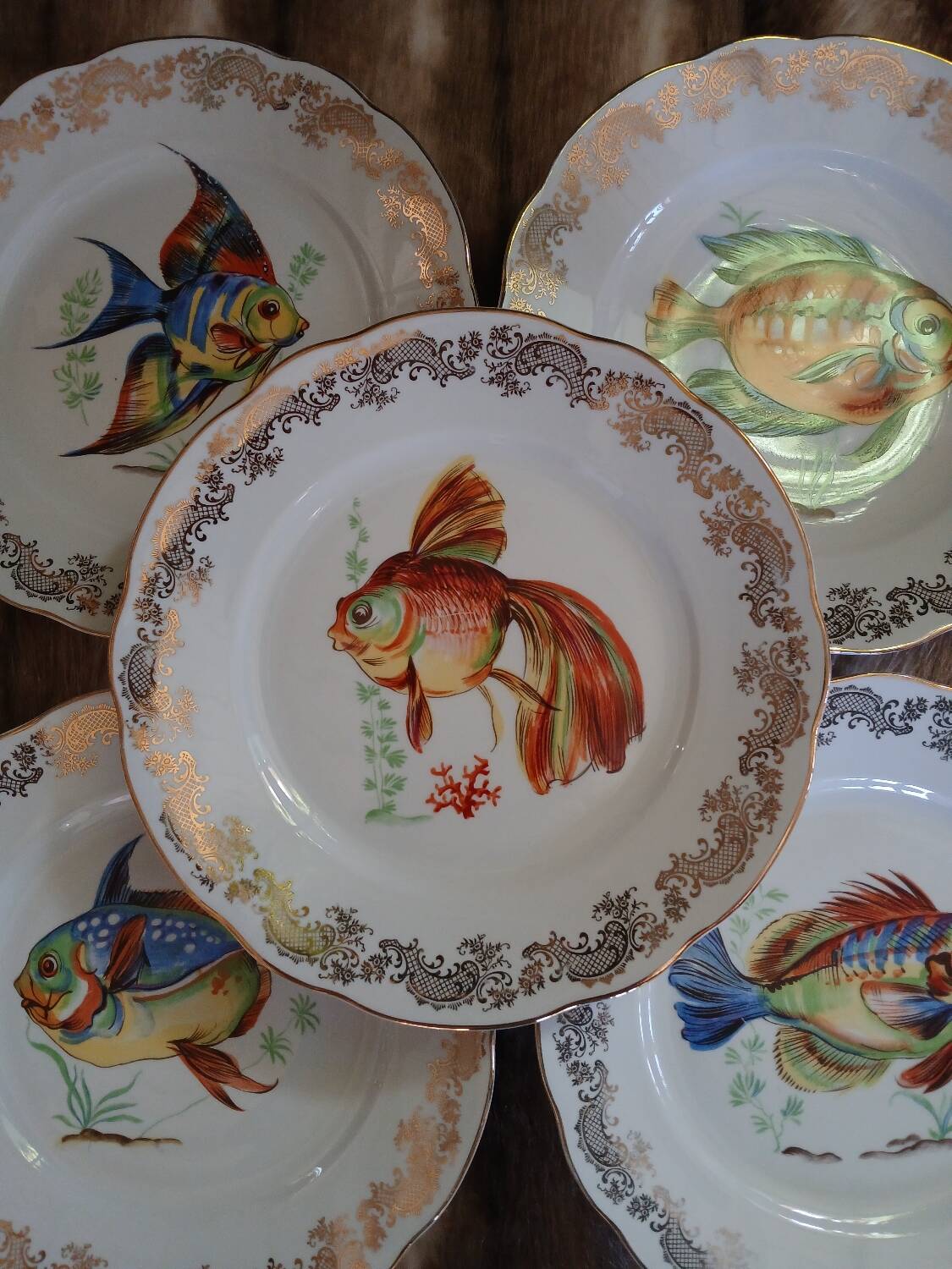 12 antique "Royal" dinner plates + 1 dish