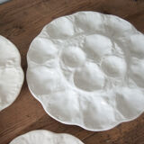 Gien oyster or seashell service party