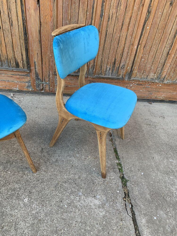 Mid-century hungarian chairs, 1960