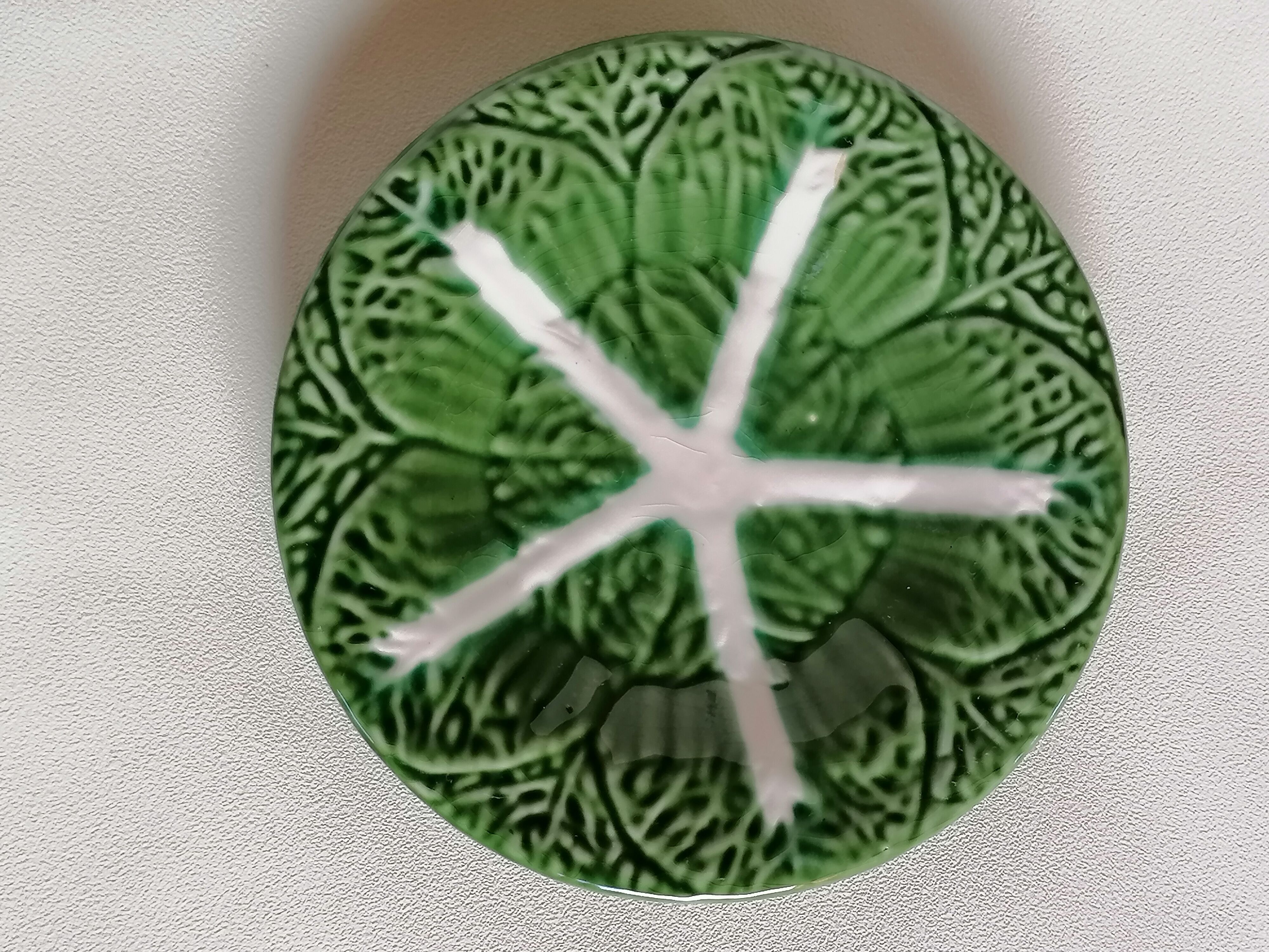 Two bowls in dabbling and their plates leaves cabbage