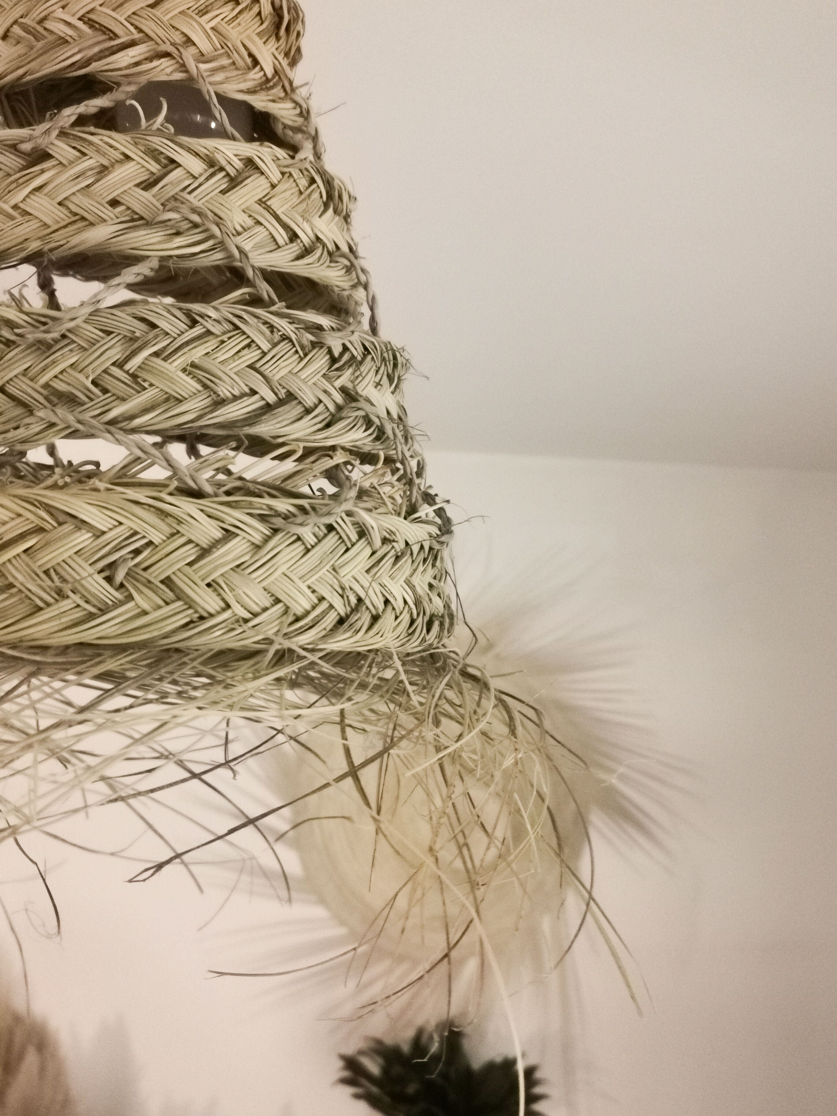 Hanging adbated bohemian day