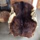 Goat skin