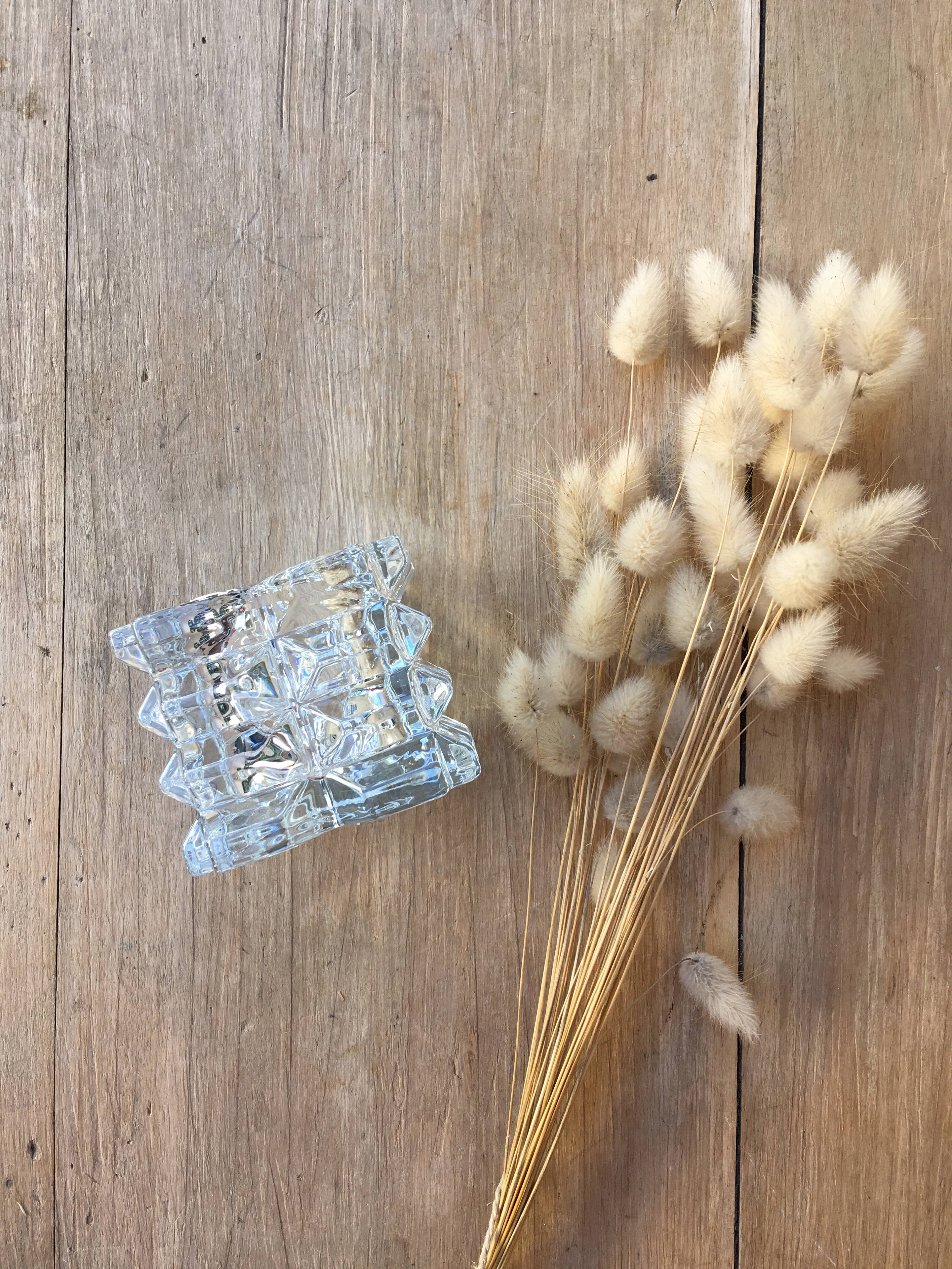 Pair of square photophores