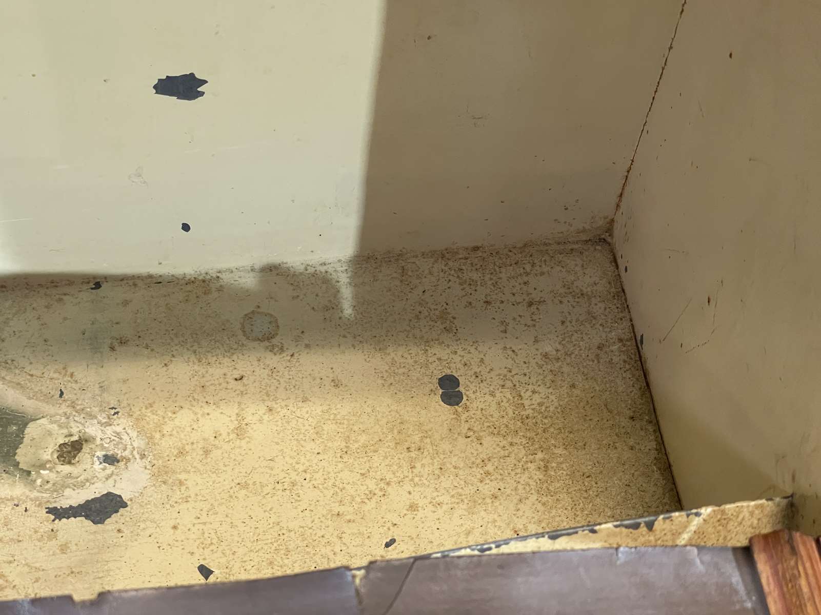 Mahogany wardrobe from the 1930s